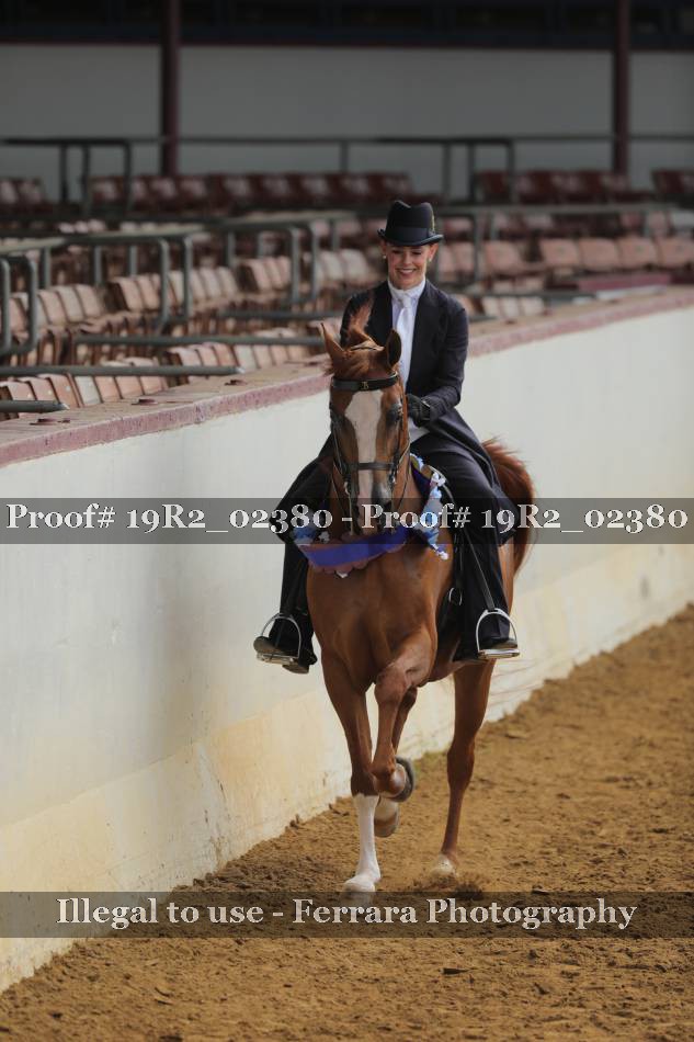 Proof 19R2_02380