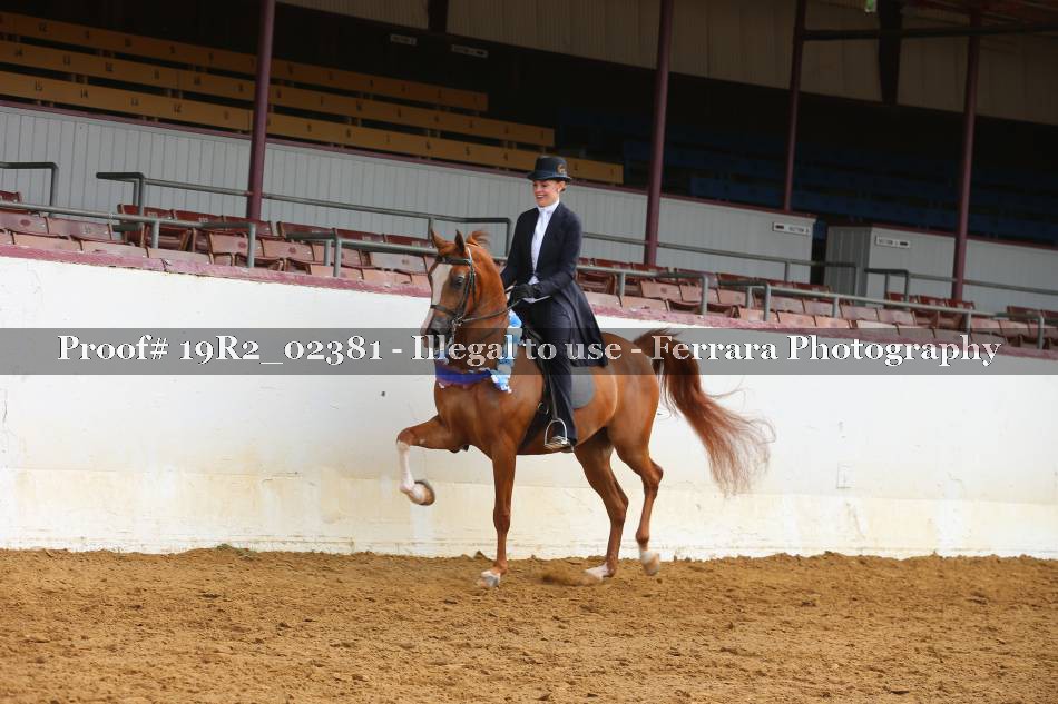 Proof 19R2_02381