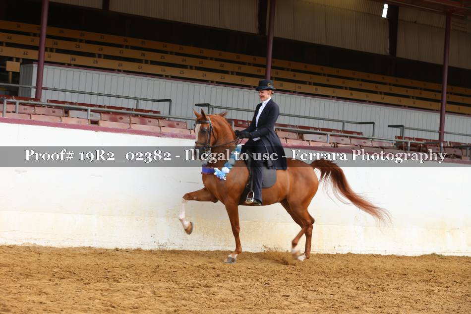 Proof 19R2_02382