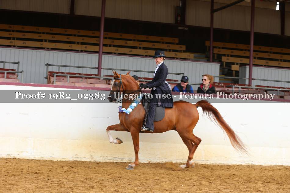 Proof 19R2_02383