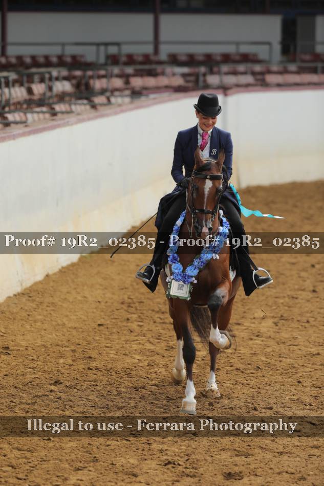 Proof 19R2_02385