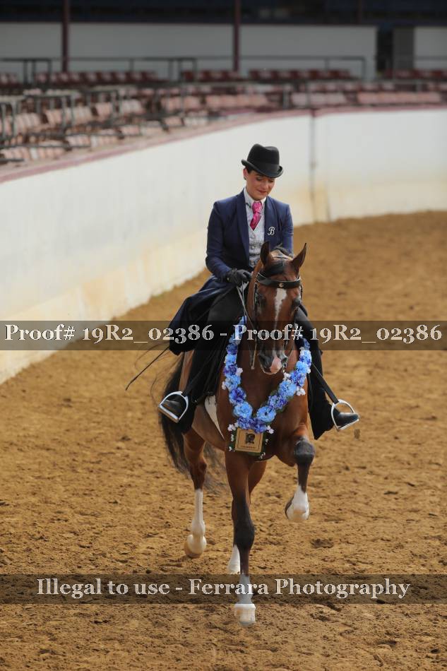 Proof 19R2_02386