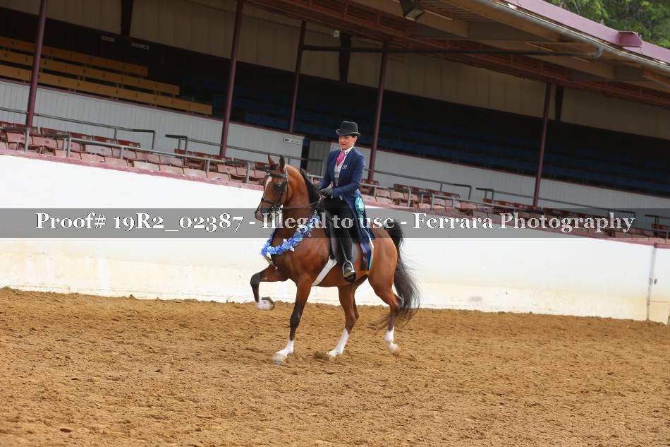 Proof 19R2_02387