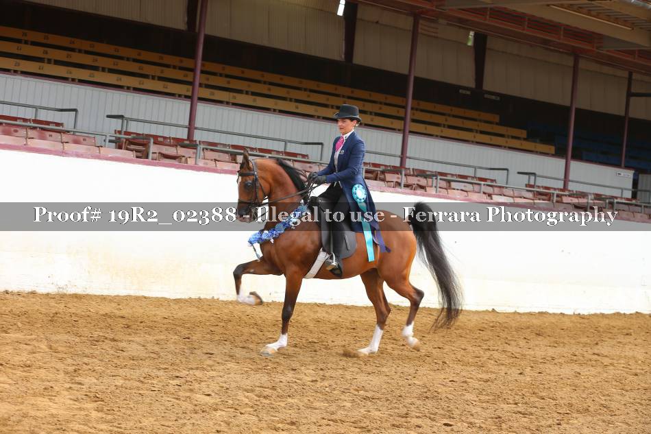 Proof 19R2_02388