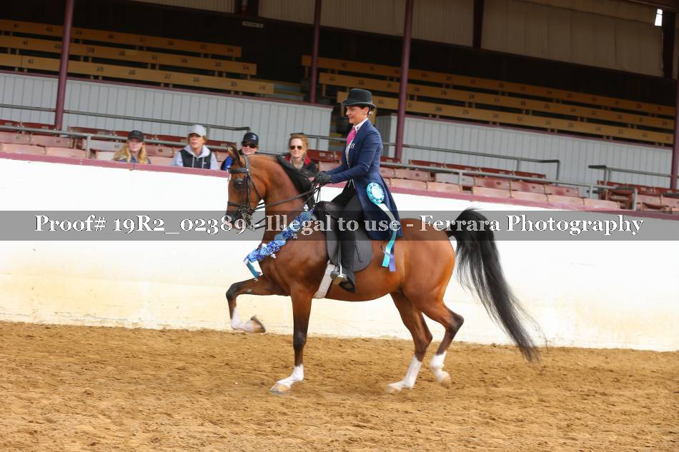 Proof 19R2_02389
