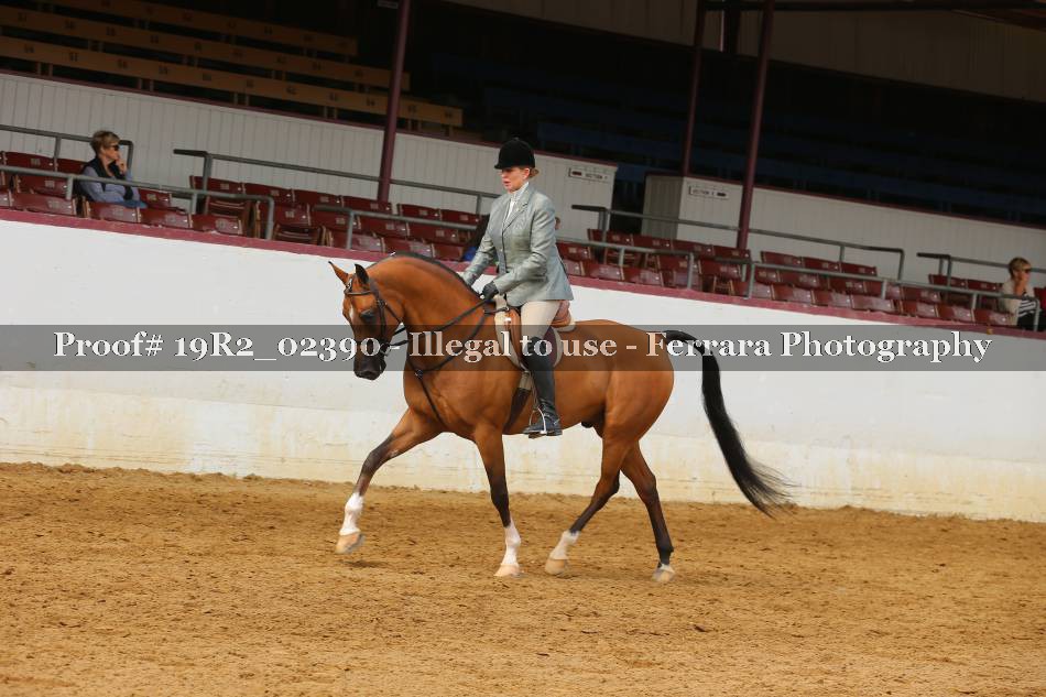 Proof 19R2_02390
