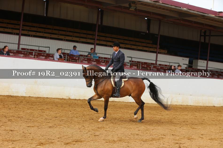 Proof 19R2_02391