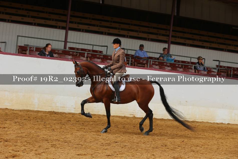 Proof 19R2_02392
