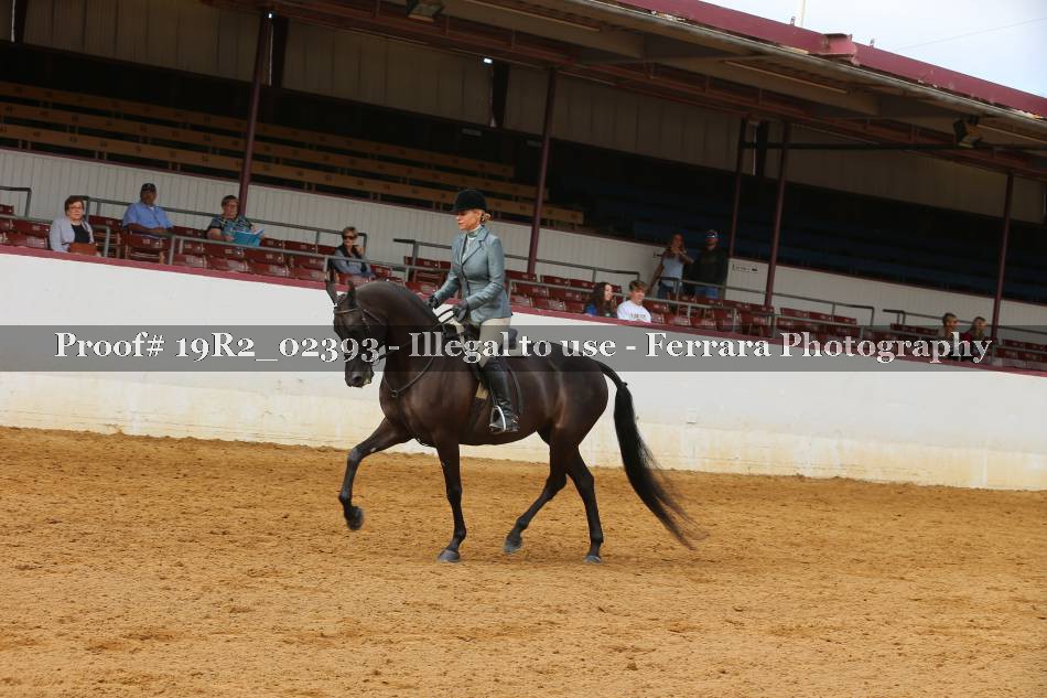 Proof 19R2_02393