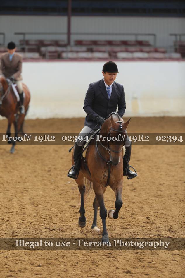 Proof 19R2_02394