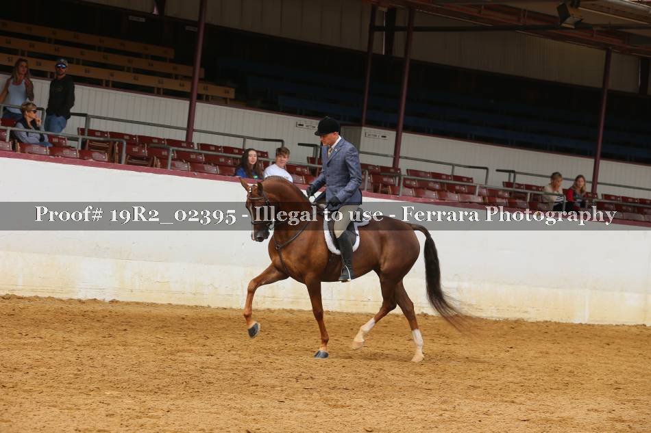 Proof 19R2_02395