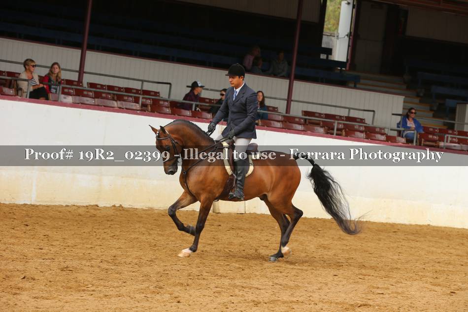 Proof 19R2_02399