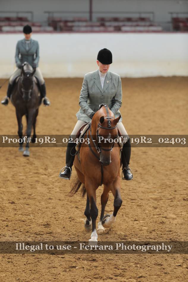 Proof 19R2_02403