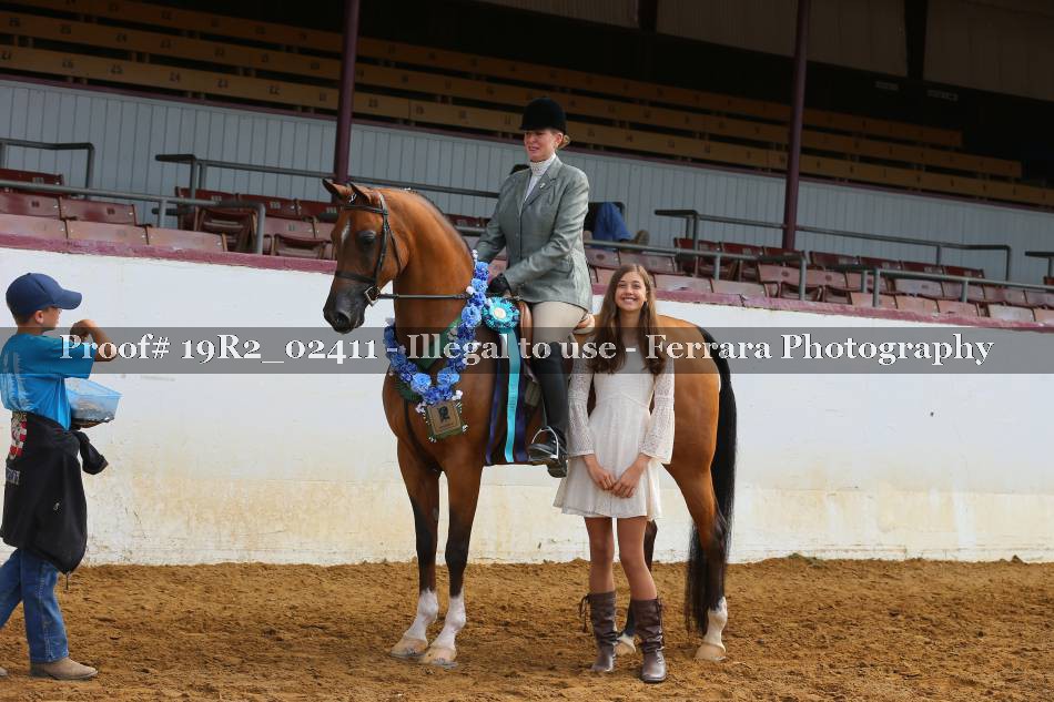 Proof 19R2_02411