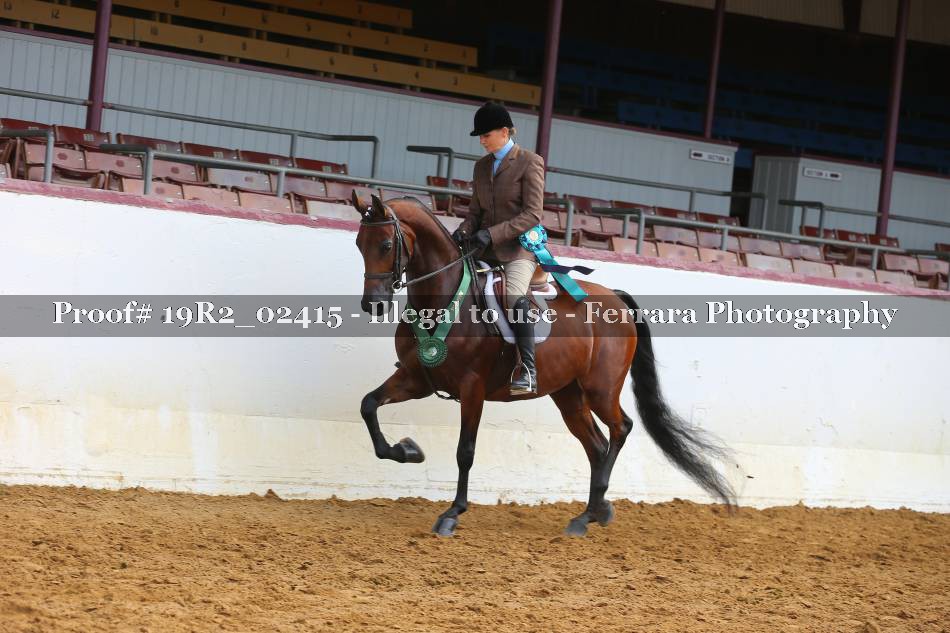 Proof 19R2_02415