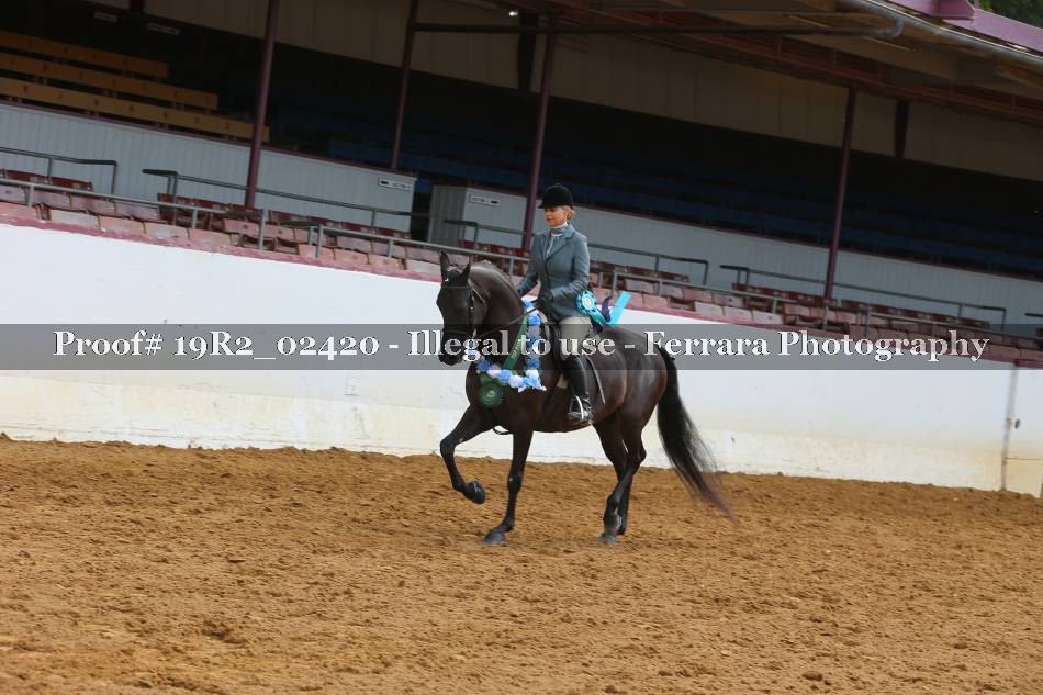 Proof 19R2_02420