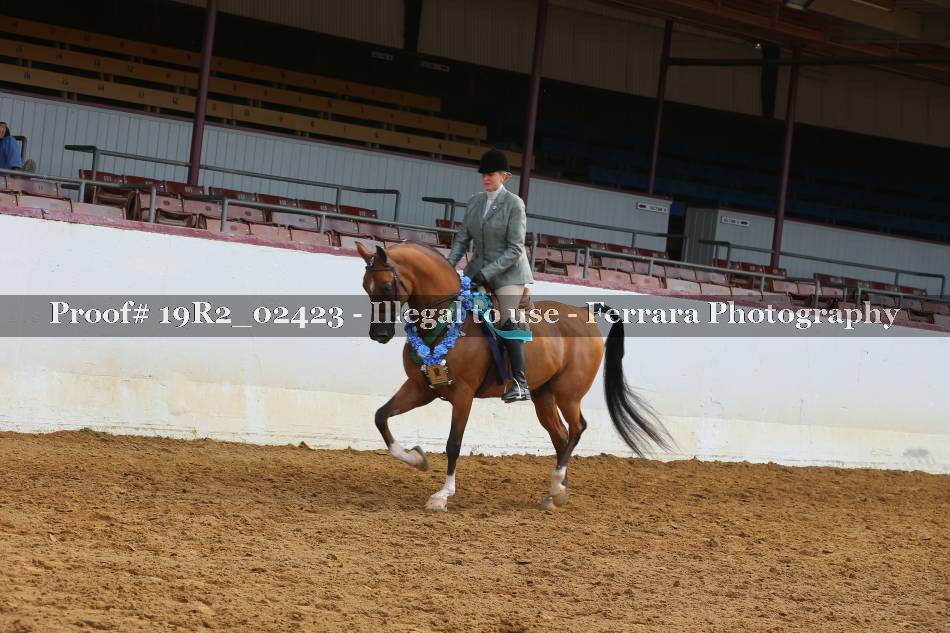 Proof 19R2_02423