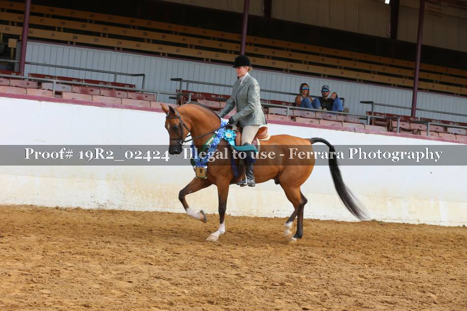 Proof 19R2_02424