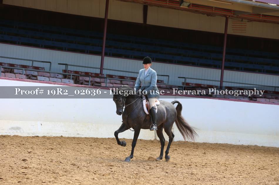 Proof 19R2_02636