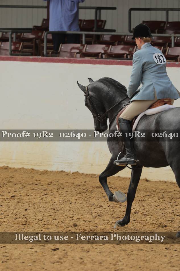 Proof 19R2_02640