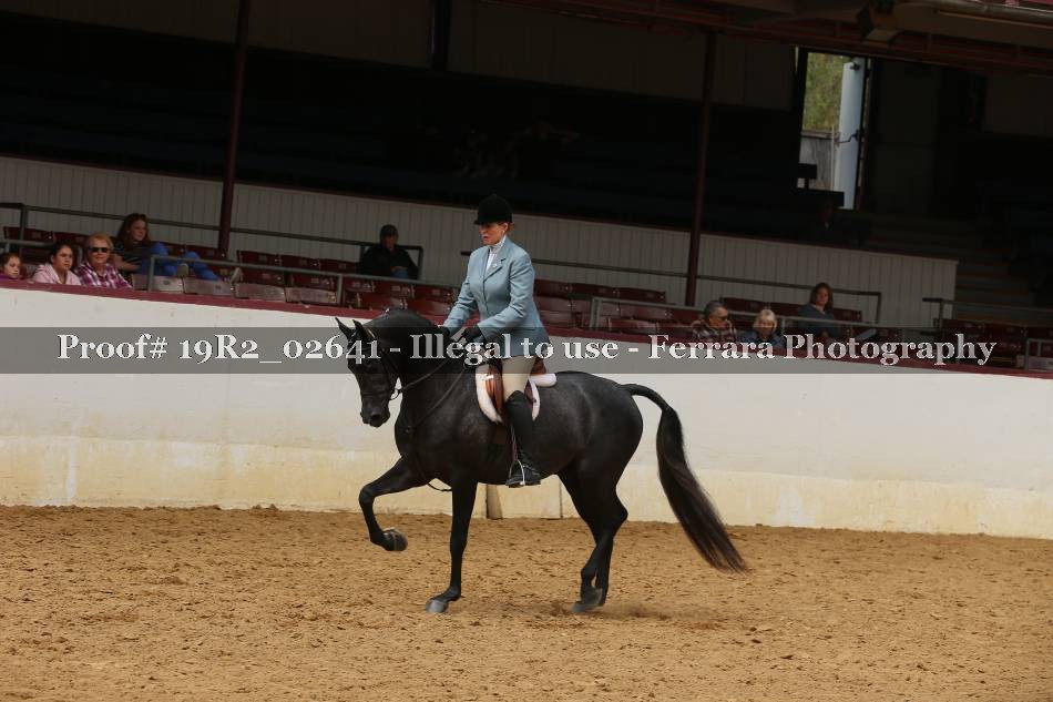 Proof 19R2_02641