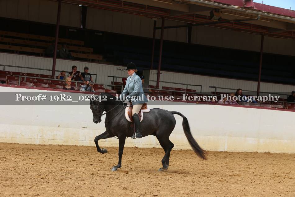 Proof 19R2_02642