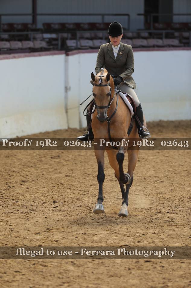 Proof 19R2_02643