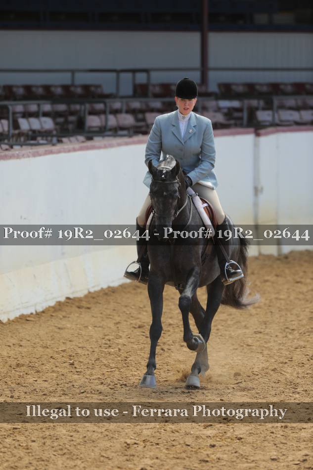 Proof 19R2_02644
