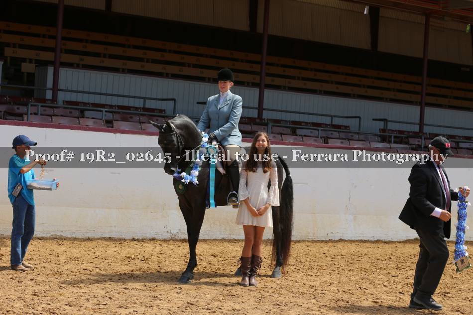 Proof 19R2_02645