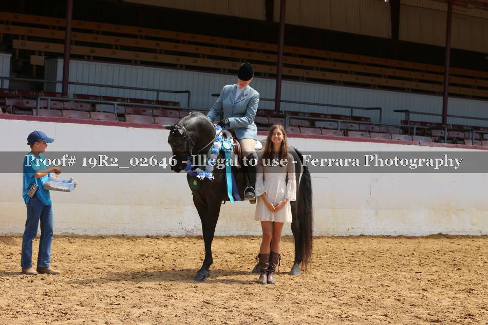 Proof 19R2_02646