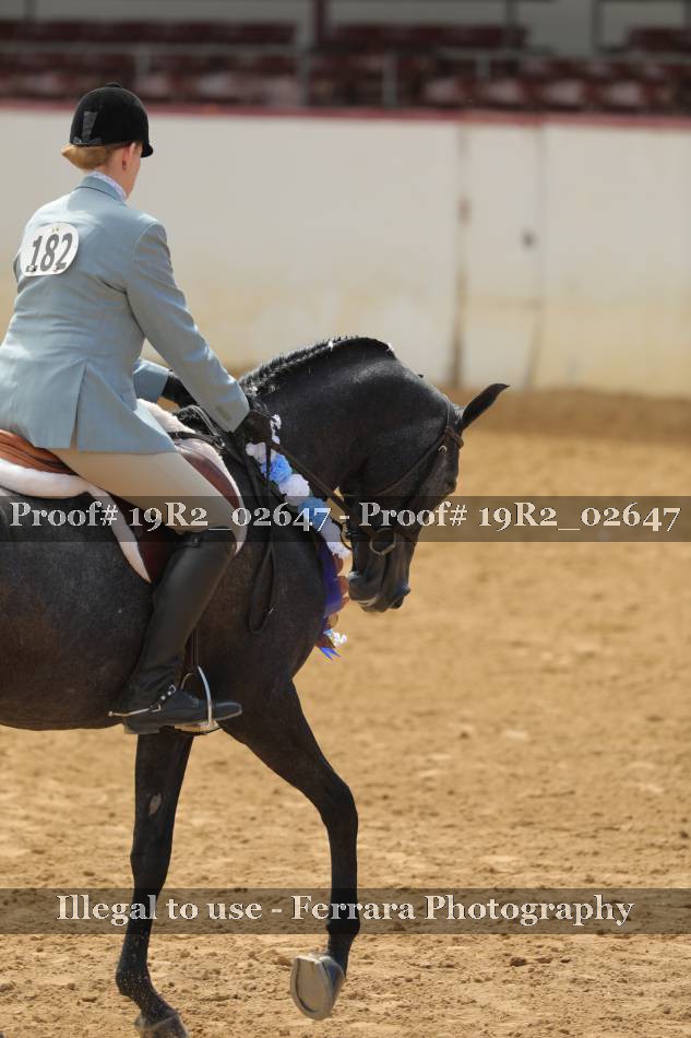 Proof 19R2_02647