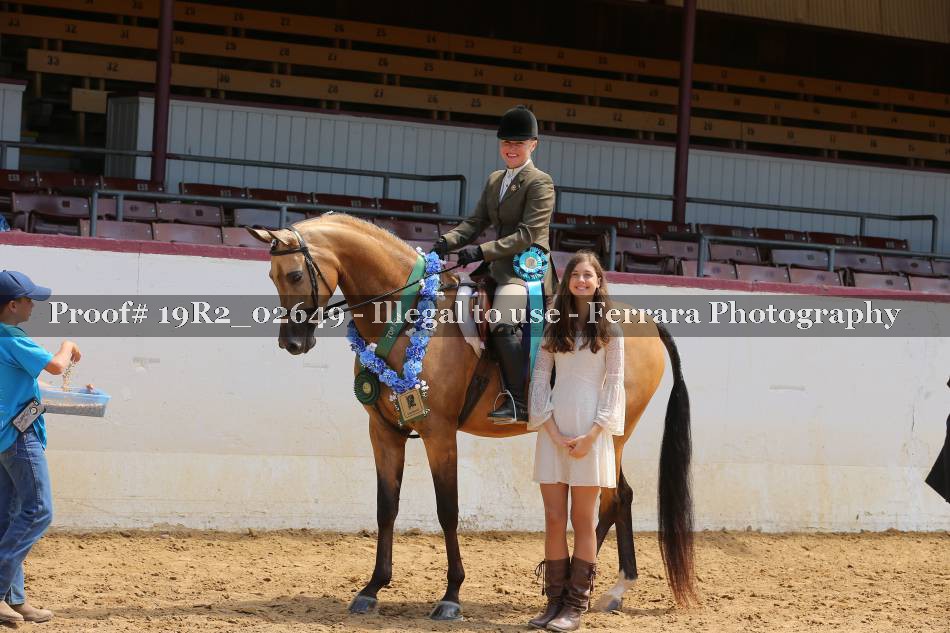 Proof 19R2_02649