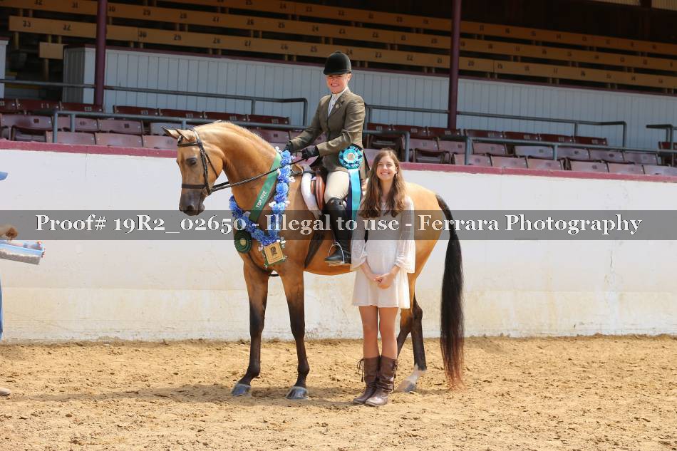 Proof 19R2_02650