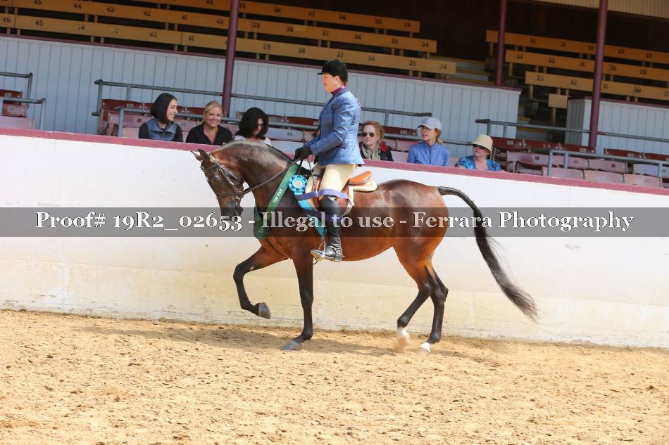 Proof 19R2_02653