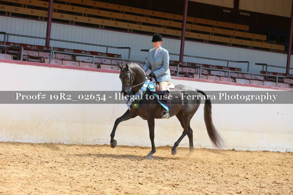 Proof 19R2_02654