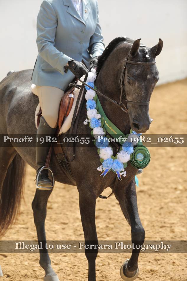 Proof 19R2_02655