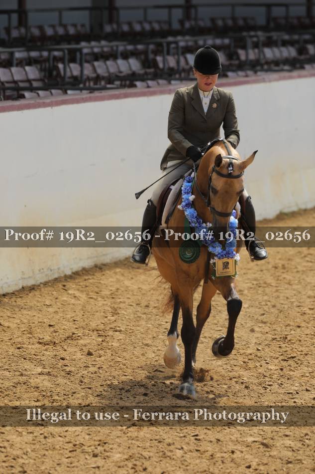 Proof 19R2_02656