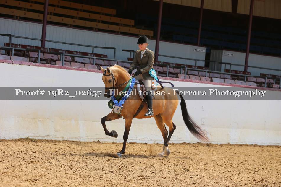 Proof 19R2_02657