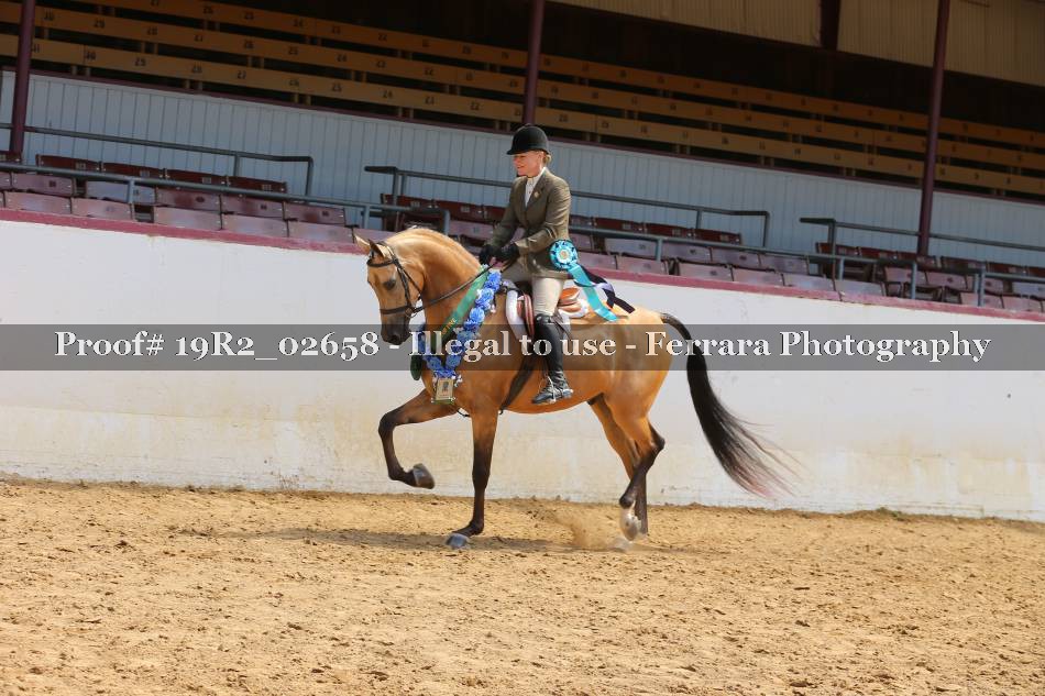Proof 19R2_02658