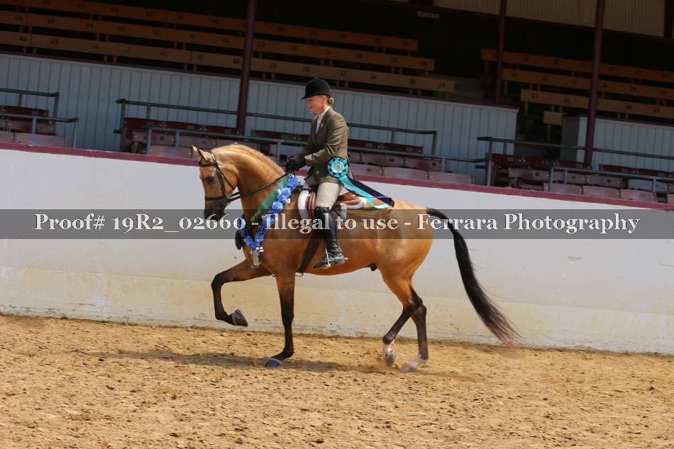 Proof 19R2_02660