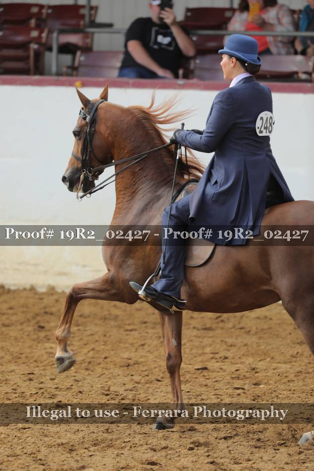 Proof 19R2_02427