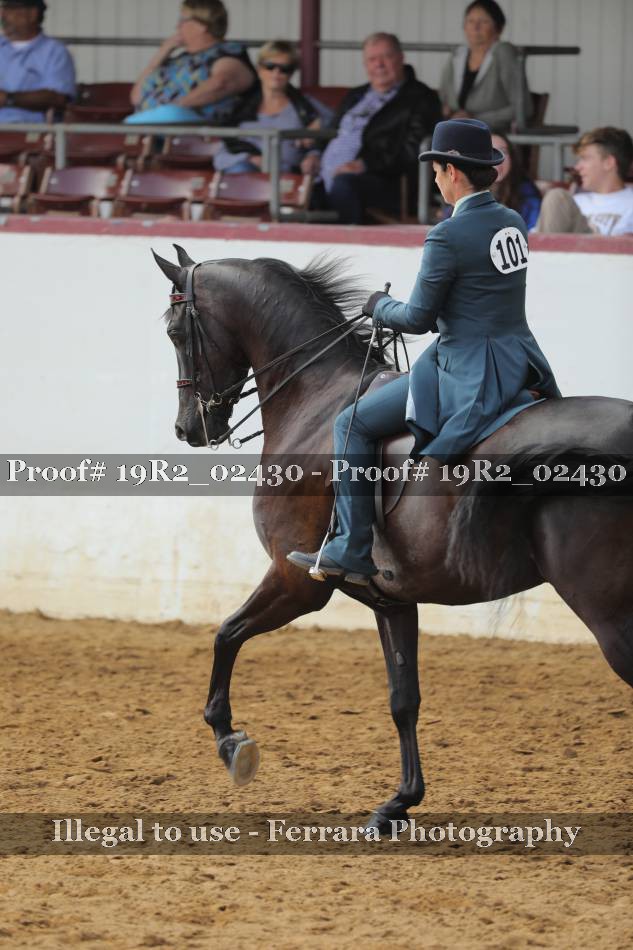 Proof 19R2_02430