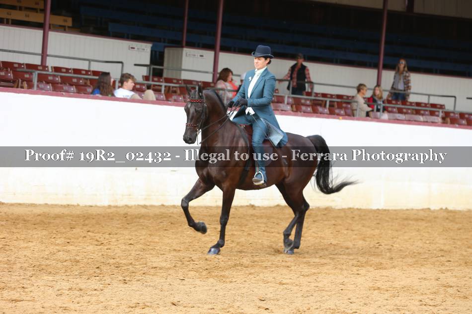 Proof 19R2_02432