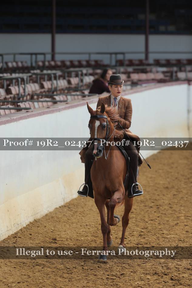 Proof 19R2_02437