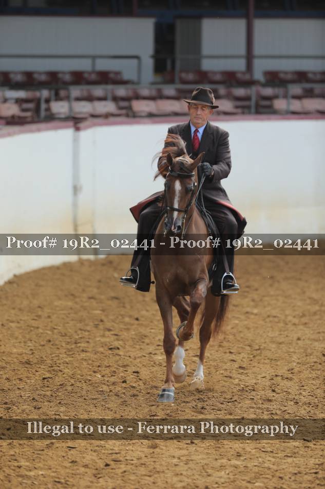 Proof 19R2_02441