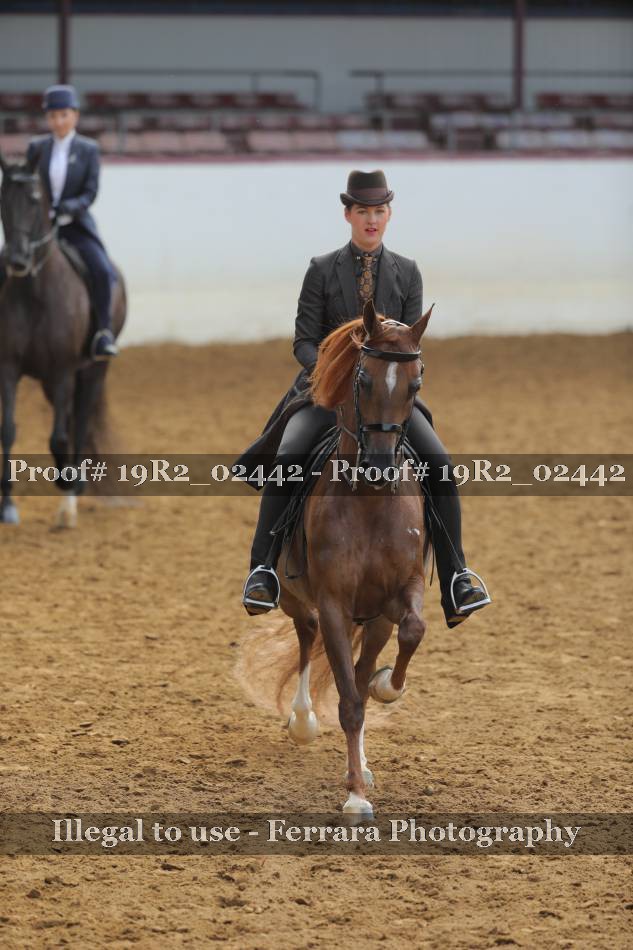 Proof 19R2_02442