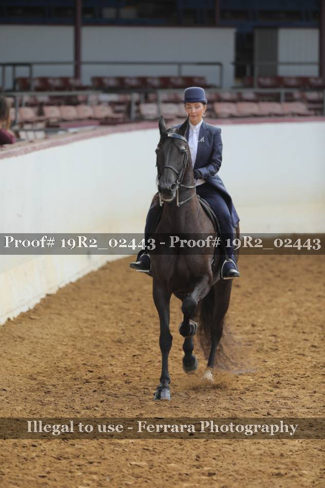 Proof 19R2_02443