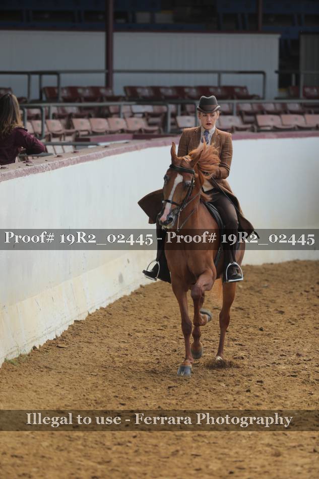 Proof 19R2_02445