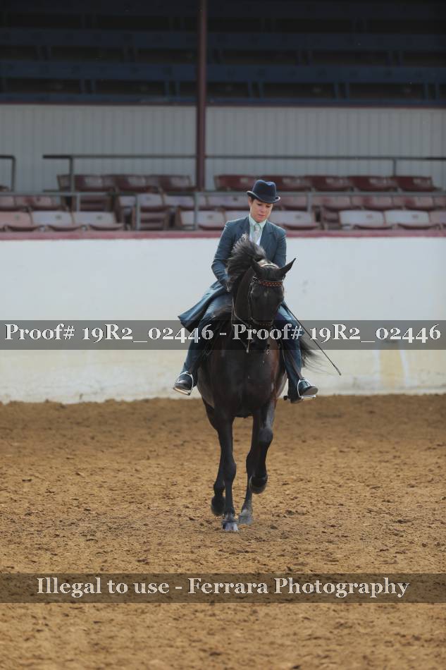 Proof 19R2_02446