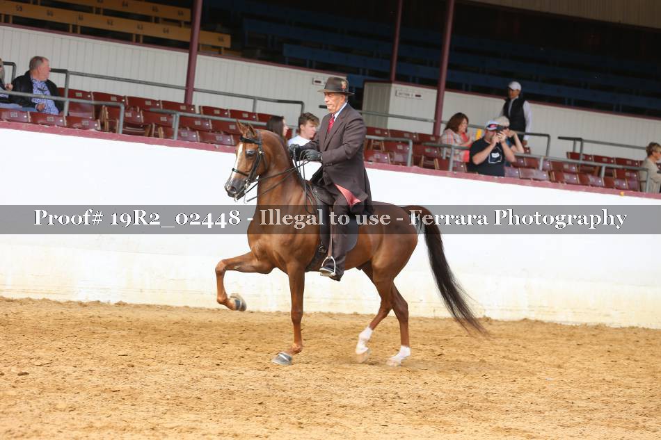 Proof 19R2_02448